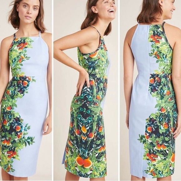 Maeve Dresses & Skirts - Maeve Anthropologie Blue & Green fruit Floral tropical Midi Dress, size 4